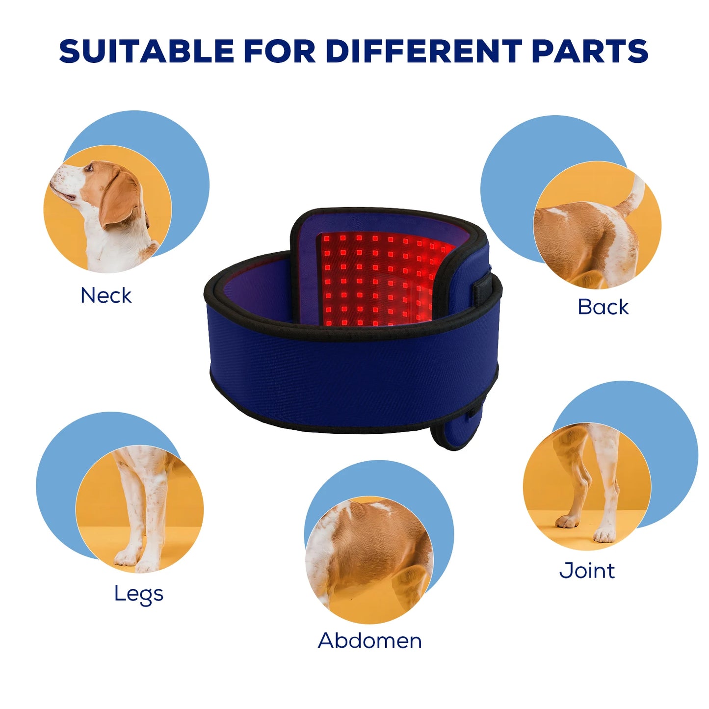 Red Light Therapy Belt For Pets